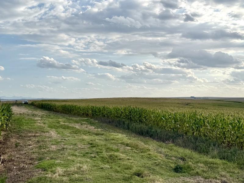 0 Bedroom Property for Sale in Harrismith Free State